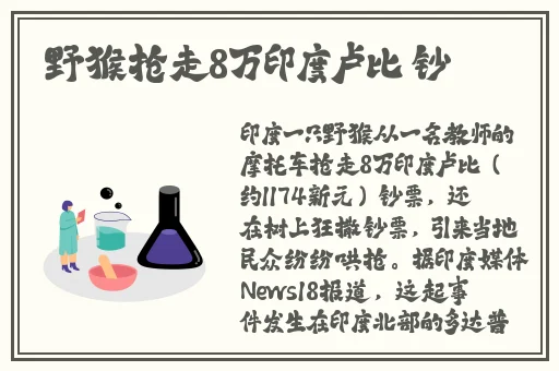miya1157跳转接口